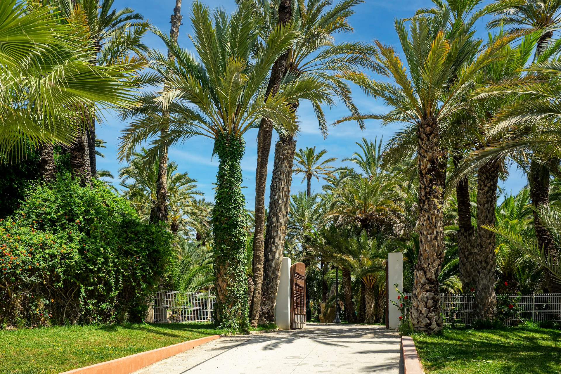 venta rápida Elche