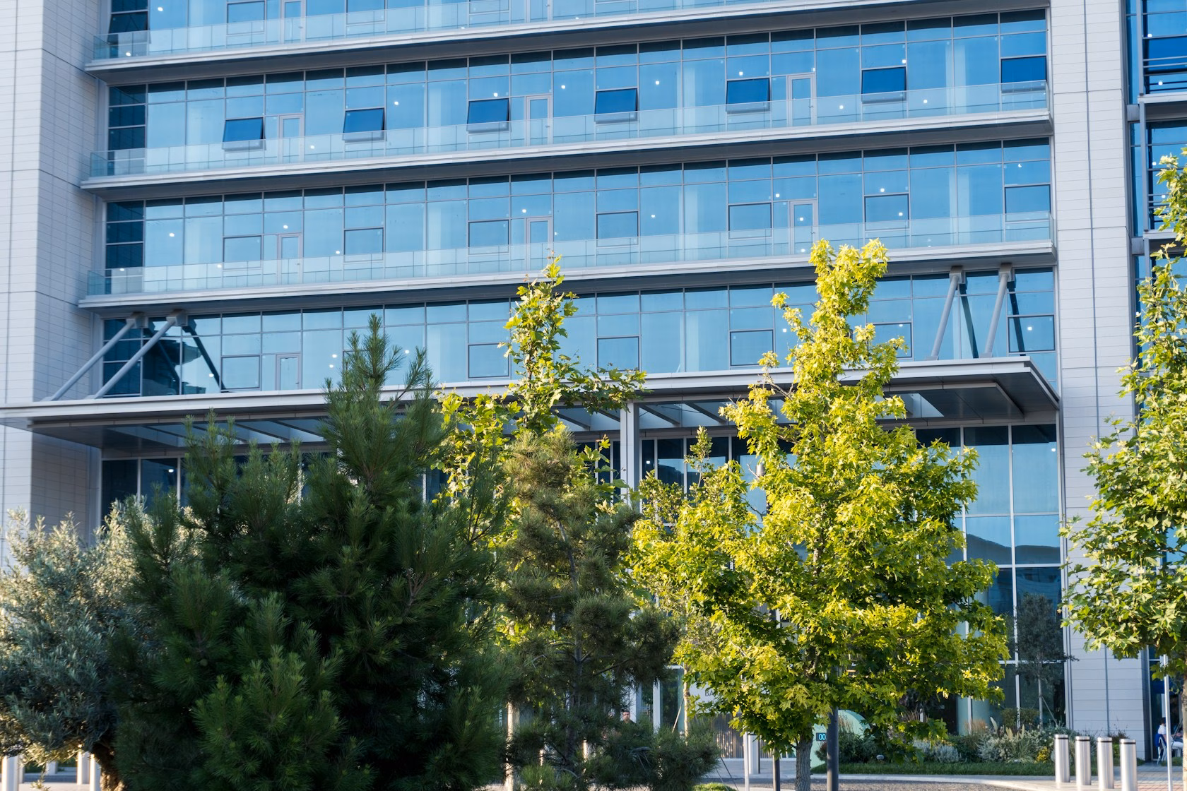 Edificio de oficinas moderno con fachada de cristal y árboles en primer plano